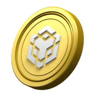 BNB coin used decoratively in the platform information section